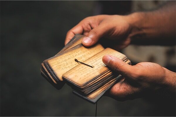 about-neem_img3